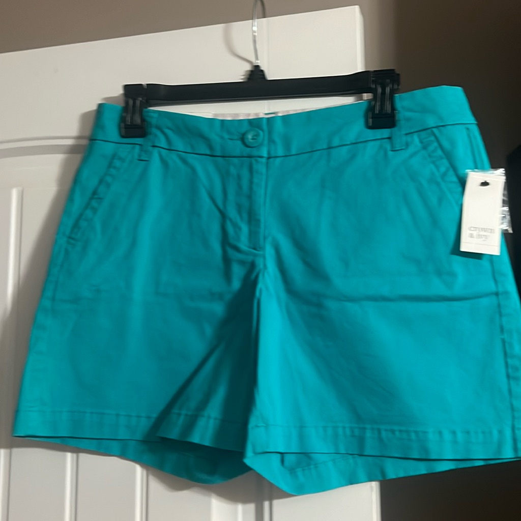 Aqua Shorts